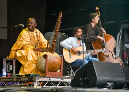 Womad-55