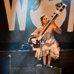 Womad-61